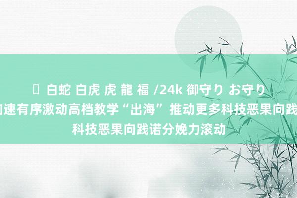 ✨白蛇 白虎 虎 龍 福 /24k 御守り お守り 张荣代表：加速有序激动高档教学“出海” 推动更多科技恶果向践诺分娩力滚动