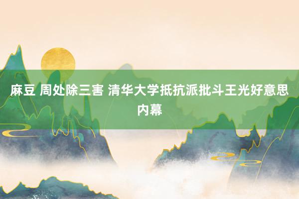 麻豆 周处除三害 清华大学抵抗派批斗王光好意思内幕