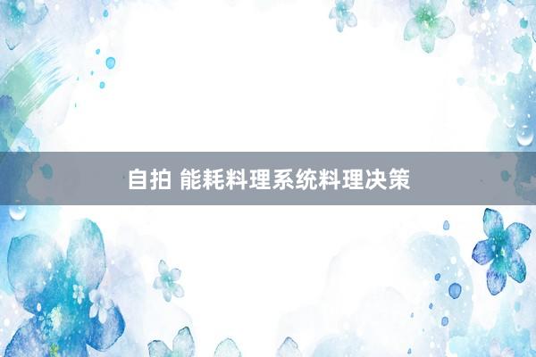 自拍 能耗料理系统料理决策