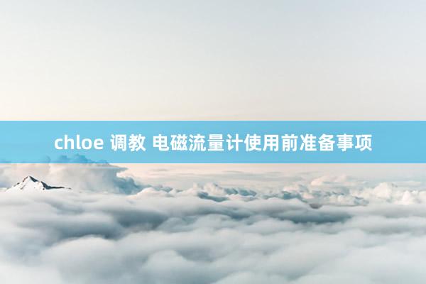 chloe 调教 电磁流量计使用前准备事项