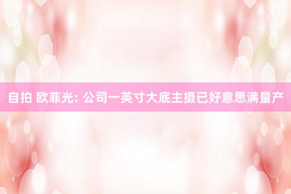 自拍 欧菲光: 公司一英寸大底主摄已好意思满量产