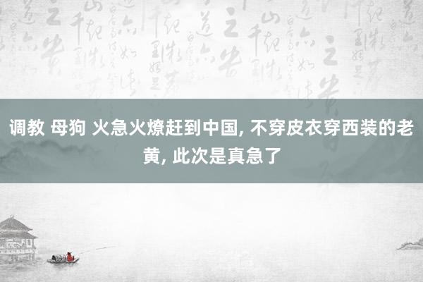 调教 母狗 火急火燎赶到中国， 不穿皮衣穿西装的老黄， 此次是真急了
