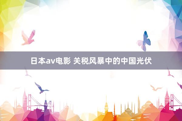 日本av电影 关税风暴中的中国光伏