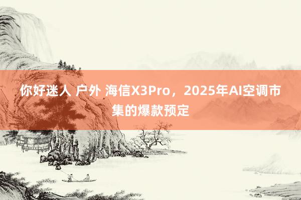你好迷人 户外 海信X3Pro，2025年AI空调市集的爆款预定
