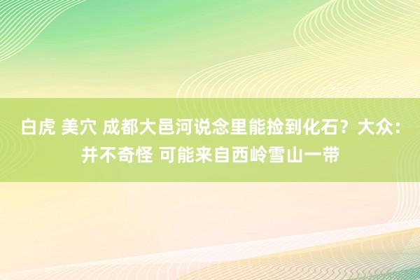 白虎 美穴 成都大邑河说念里能捡到化石？大众：并不奇怪 可能来自西岭雪山一带