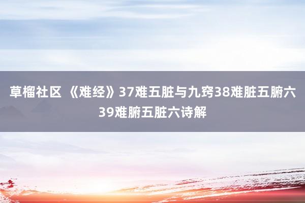 草榴社区 《难经》37难五脏与九窍38难脏五腑六39难腑五脏六诗解