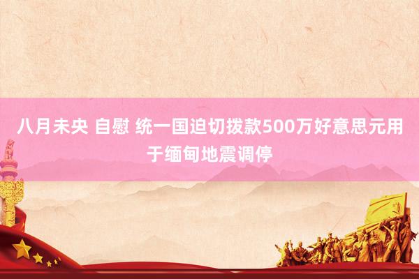 八月未央 自慰 统一国迫切拨款500万好意思元用于缅甸地震调停